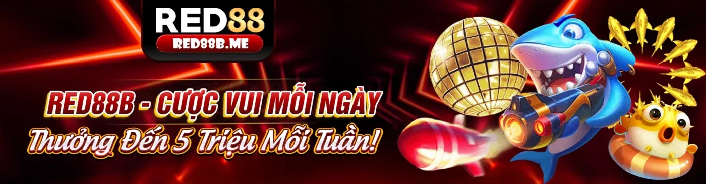 Hình ảnh chính giới thiệu về abc8 hiện đang mở