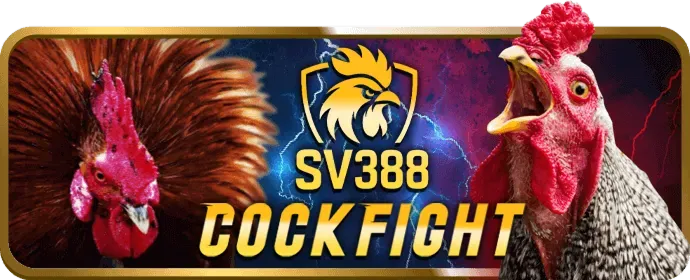 Trò chơi bài và bàn